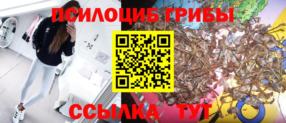 Азов  Галлюциногенные грибы GOLDEN TEACHER  Вход с VPN 